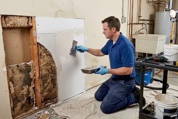 Mold and Drywall Repair Flower Mound