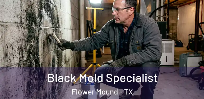  Black Mold Specialist Flower Mound - TX