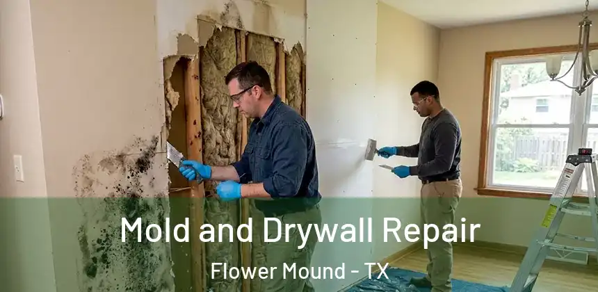 Mold and Drywall Repair Flower Mound - TX