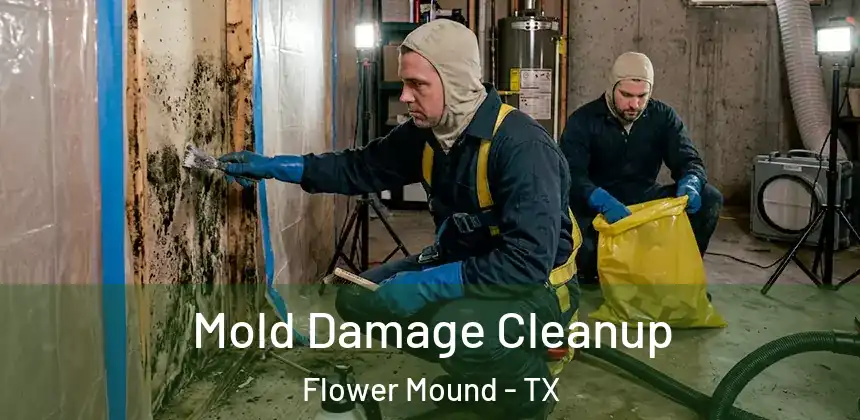  Mold Damage Cleanup Flower Mound - TX