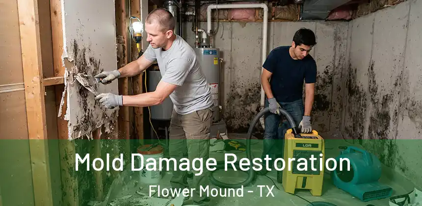  Mold Damage Restoration Flower Mound - TX