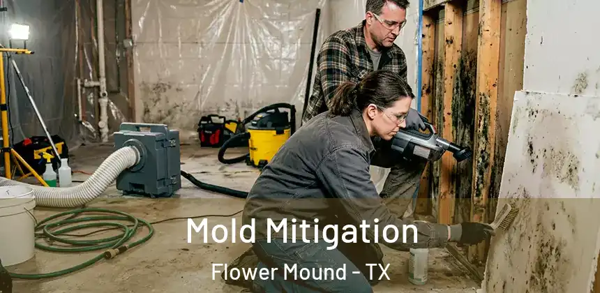 Mold Mitigation Flower Mound - TX