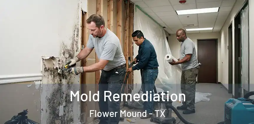  Mold Remediation Flower Mound - TX
