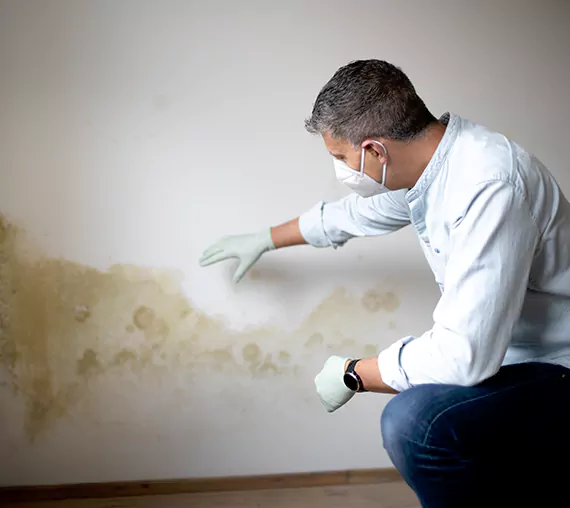 Mold Removal Service in Flower Mound, TX