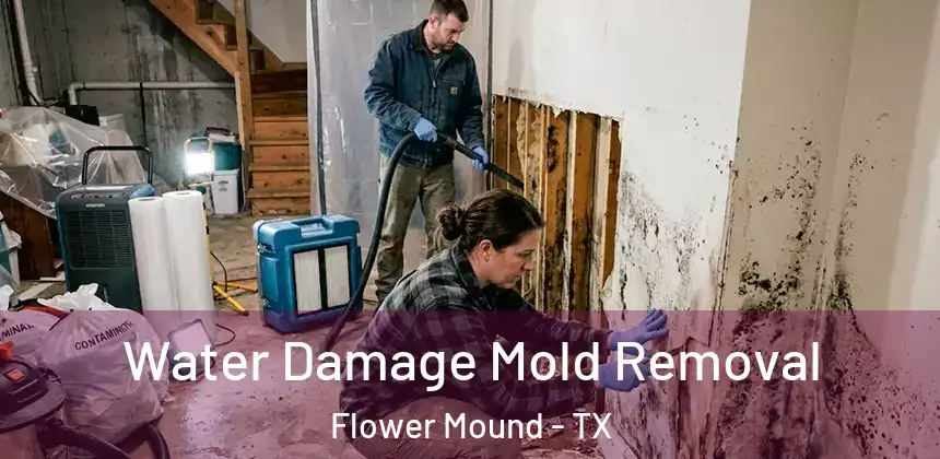  Water Damage Mold Removal Flower Mound - TX
